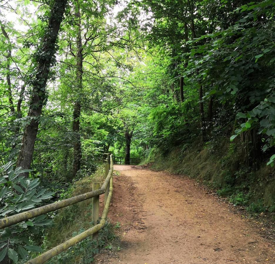 Villa Ca La Pauleta Sant Hilari Sacalm Esterno foto