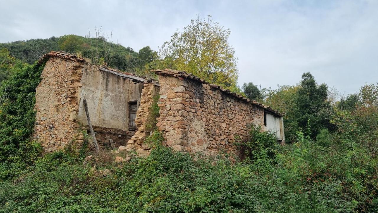 Villa Ca La Pauleta Sant Hilari Sacalm Esterno foto