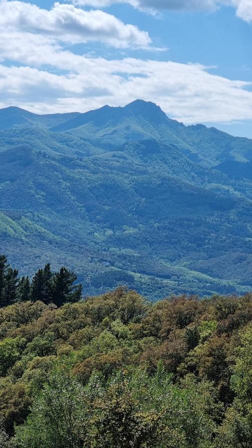Villa Ca La Pauleta Sant Hilari Sacalm Esterno foto