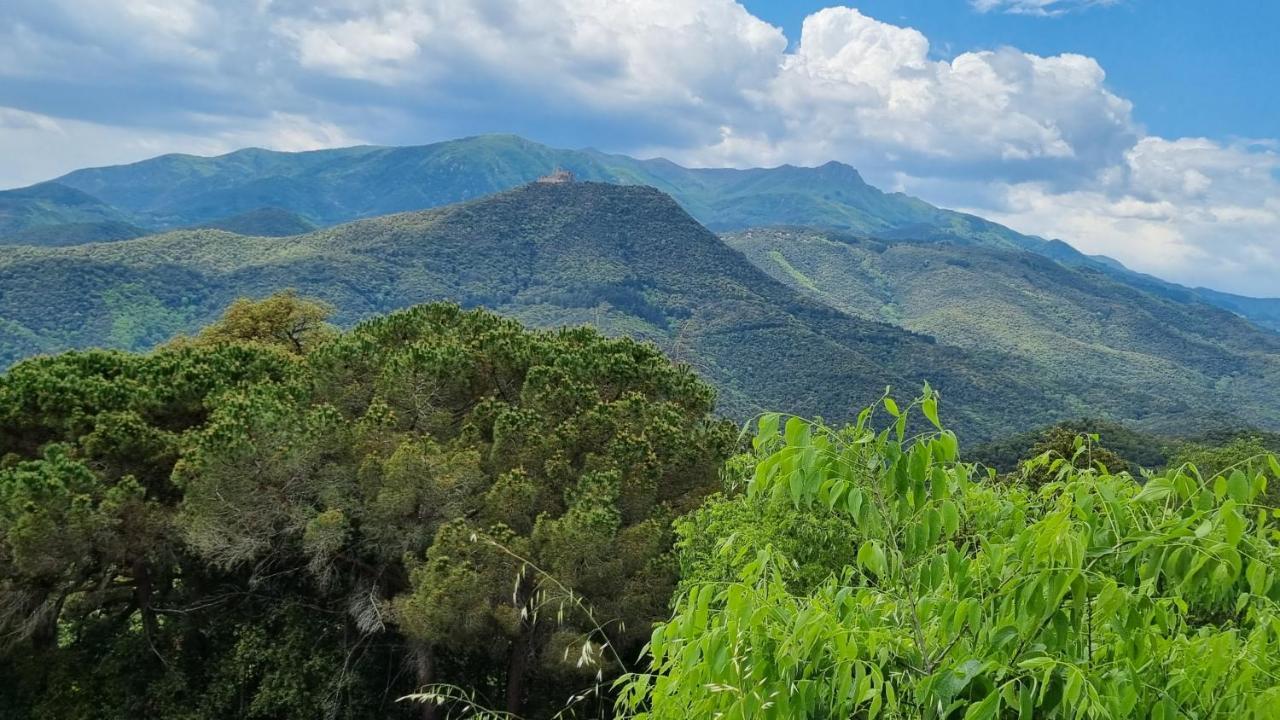 Villa Ca La Pauleta Sant Hilari Sacalm Esterno foto