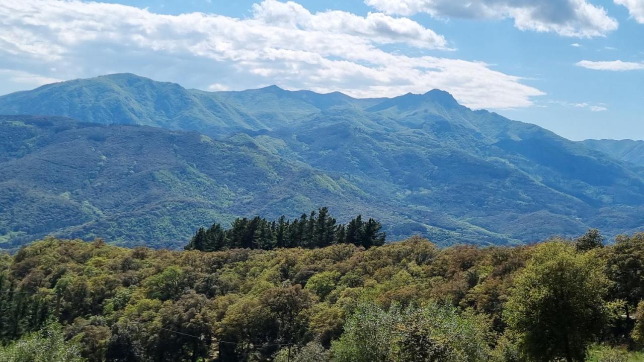 Villa Ca La Pauleta Sant Hilari Sacalm Esterno foto