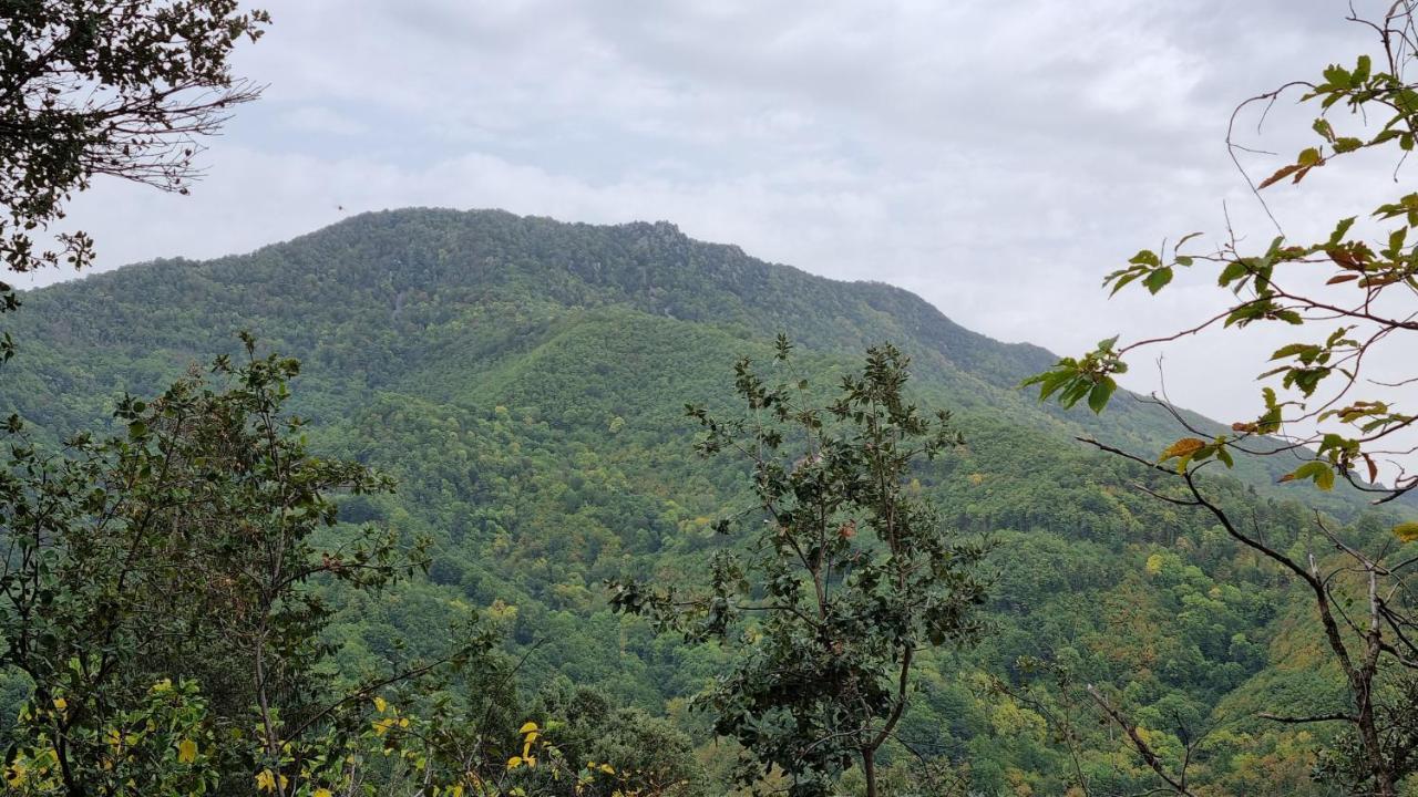 Villa Ca La Pauleta Sant Hilari Sacalm Esterno foto