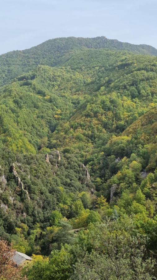 Villa Ca La Pauleta Sant Hilari Sacalm Esterno foto