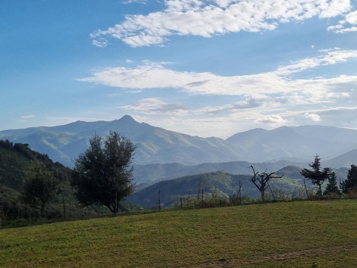 Villa Ca La Pauleta Sant Hilari Sacalm Esterno foto