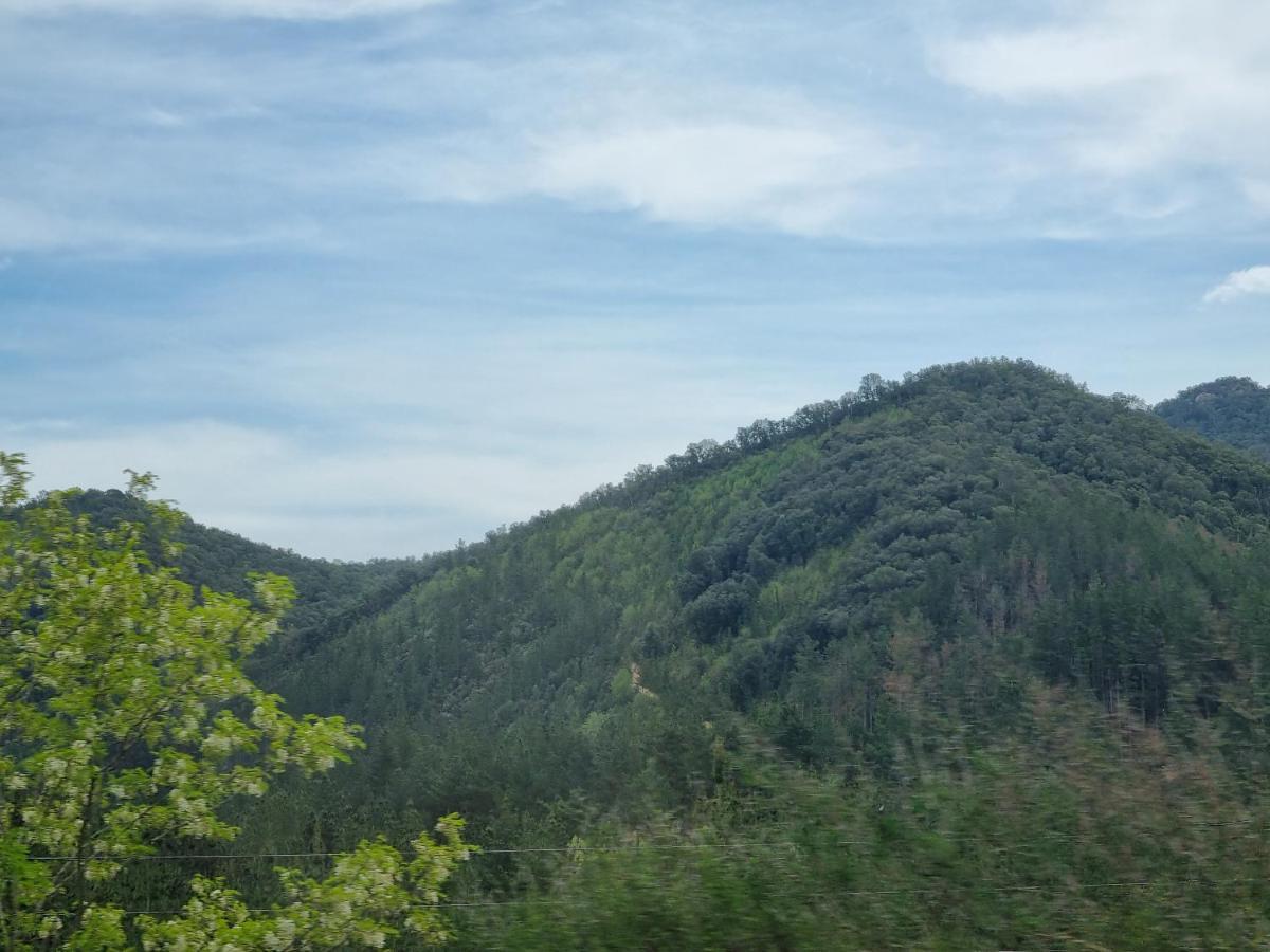 Villa Ca La Pauleta Sant Hilari Sacalm Esterno foto